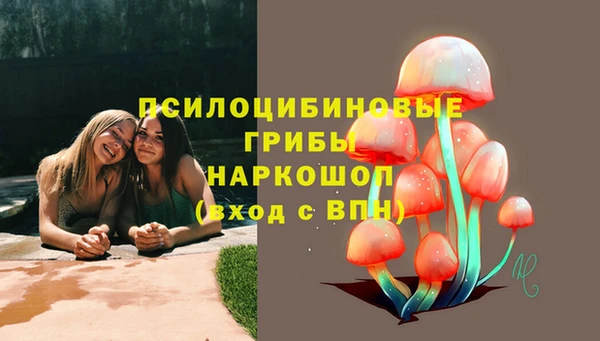 шишки Вязьма
