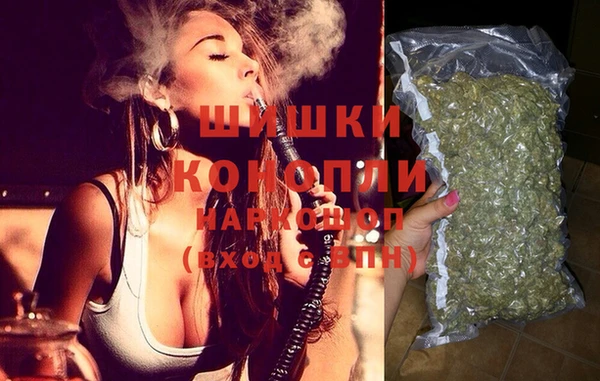 прущие грибы Волоколамск