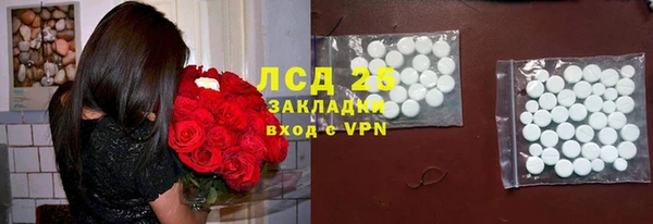 прущие грибы Волоколамск