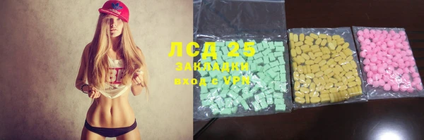 прущие грибы Волоколамск
