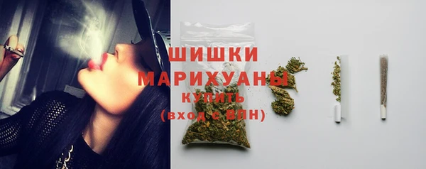прущие грибы Волоколамск