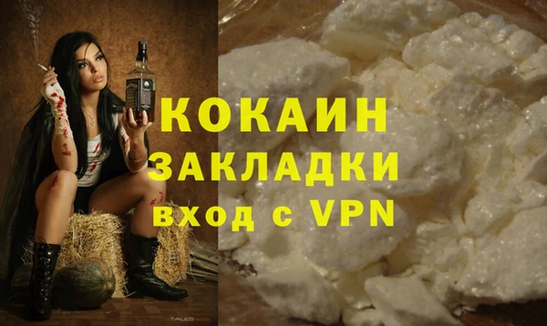 прущие грибы Волоколамск