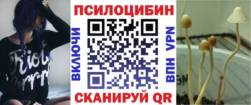 Псилоцибиновые грибы Magic Shrooms Иланский